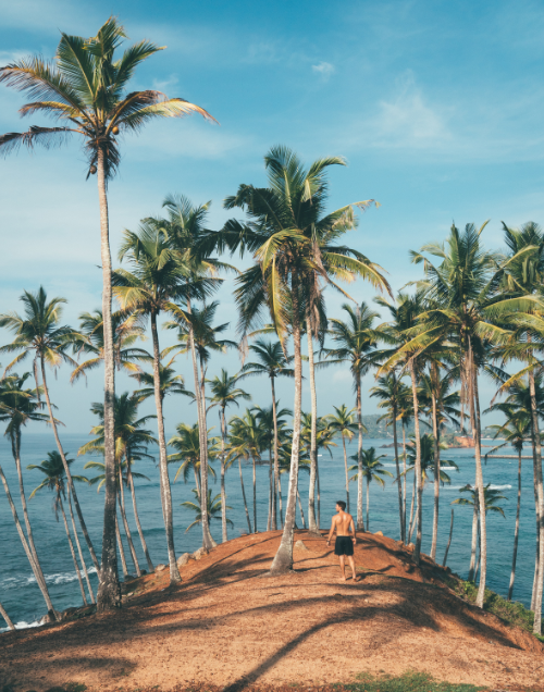 Mirissa