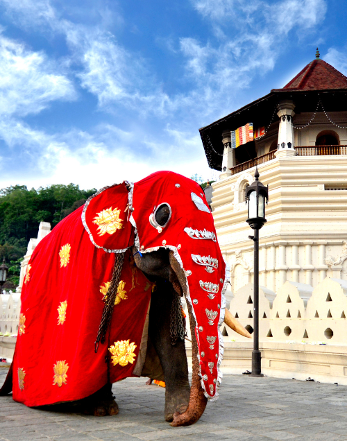 Kandy