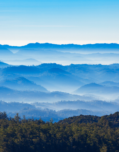Nuwara Eliya