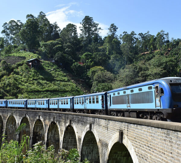7 Days and 6 Nights Tour in Sri Lanka
