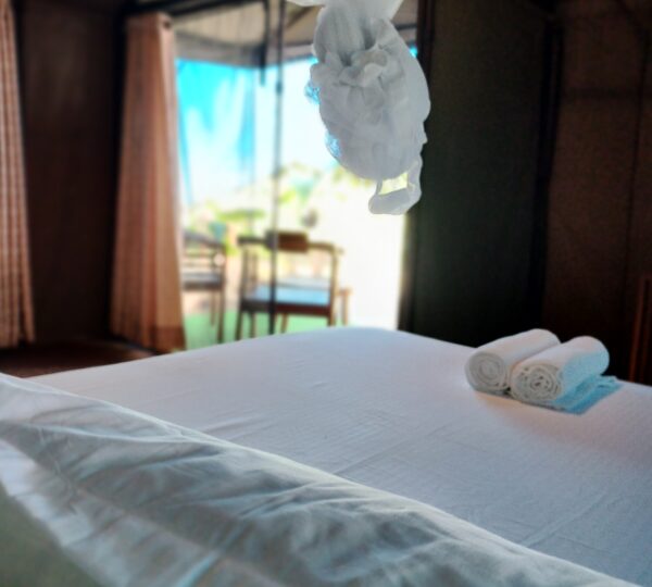 Harmony Haven Eco Resort, Udawalawa