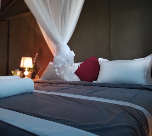 Harmony Haven Eco Resort, Udawalawa