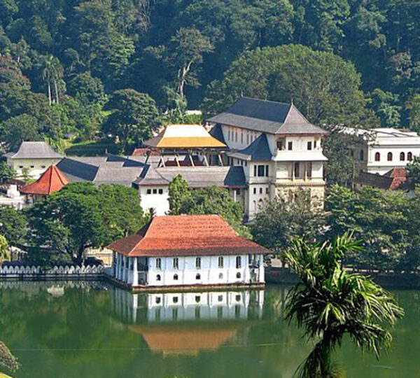 7 Days and 6 Nights Tour in Sri Lanka