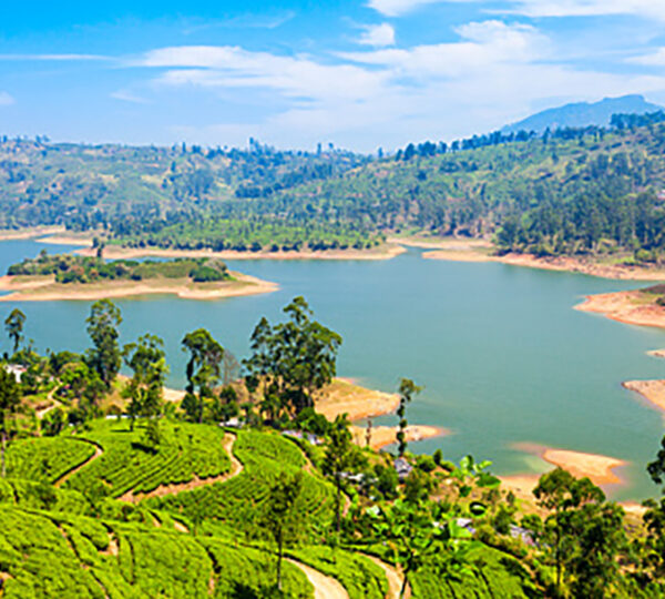 7 Days and 6 Nights Tour in Sri Lanka