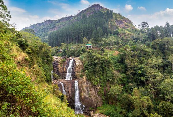 7 Days and 6 Nights Tour in Sri Lanka