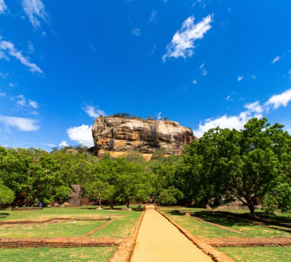 7 Days and 6 Nights Tour in Sri Lanka